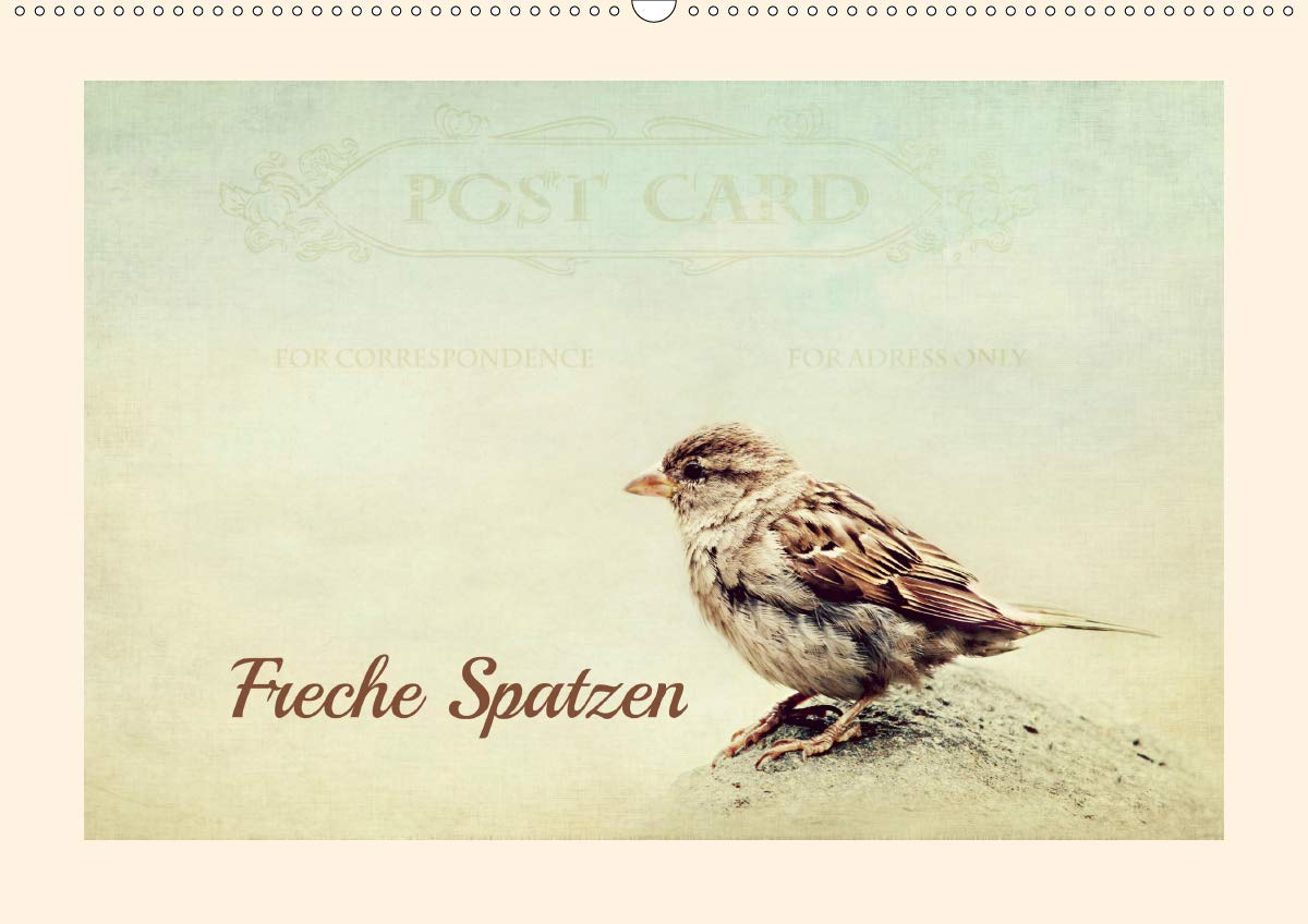 Freche Spatzen (Wandkalender 2020 DIN A2 quer): Spatzen humorvoll präsentiert (Monatskalender, 14 Seiten ) (CALVENDO Tiere) Photography