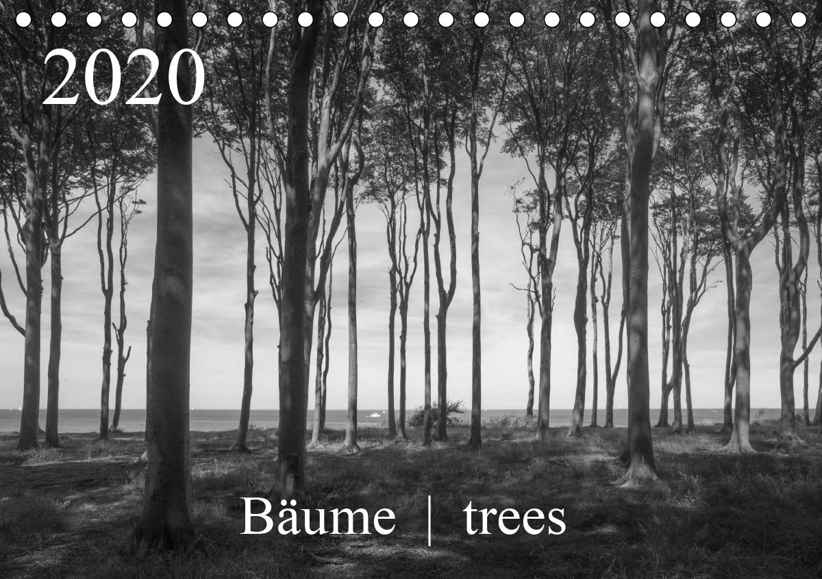Bäume trees 2020 (Tischkalender 2020 DIN A5 quer): Aufnahme von Bäumen und Baumgruppen in verschiedenen Jahreszeiten und Stimmungen (Monatskalender, 14 Seiten ) (CALVENDO Natur) Photography