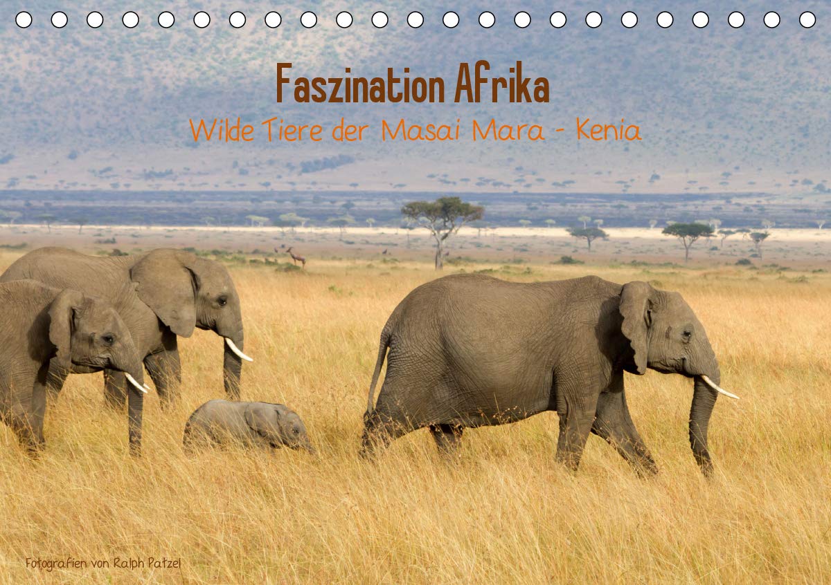Faszination Afrika - wilde Tiere der Masai Mara - Kenia (Tischkalender 2020 DIN A5 quer): Wundervolle Aufnahmen frei lebender Tiere, fotografiert vom ... (Monatskalender, 14 Seiten ) (CALVENDO Tiere) Photography