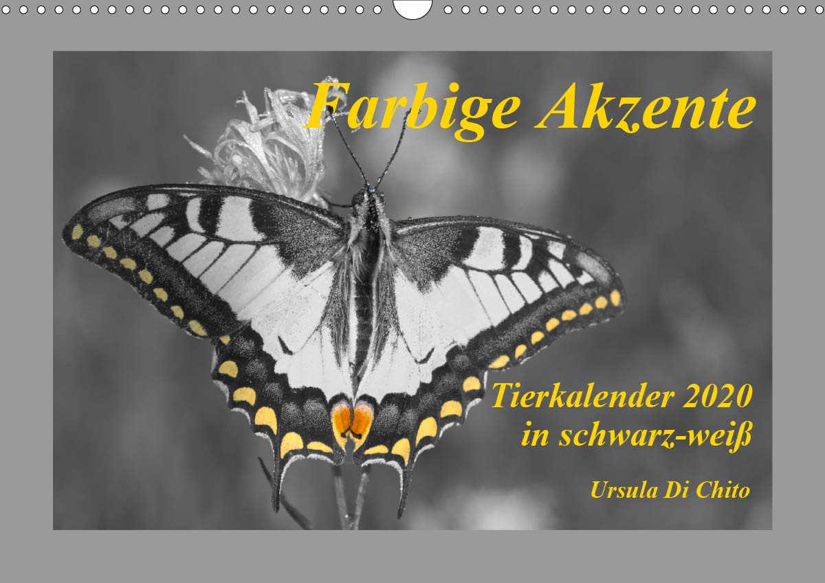 Farbige Akzente - Tierkalender 2020 in schwarz-weiß (Wandkalender 2020 DIN A3 quer): Tierischer in schwarz-weiß Kalender mit farblichen Akzenten (Monatskalender, 14 Seiten ) (CALVENDO Tiere) Leisure, Home & Garden