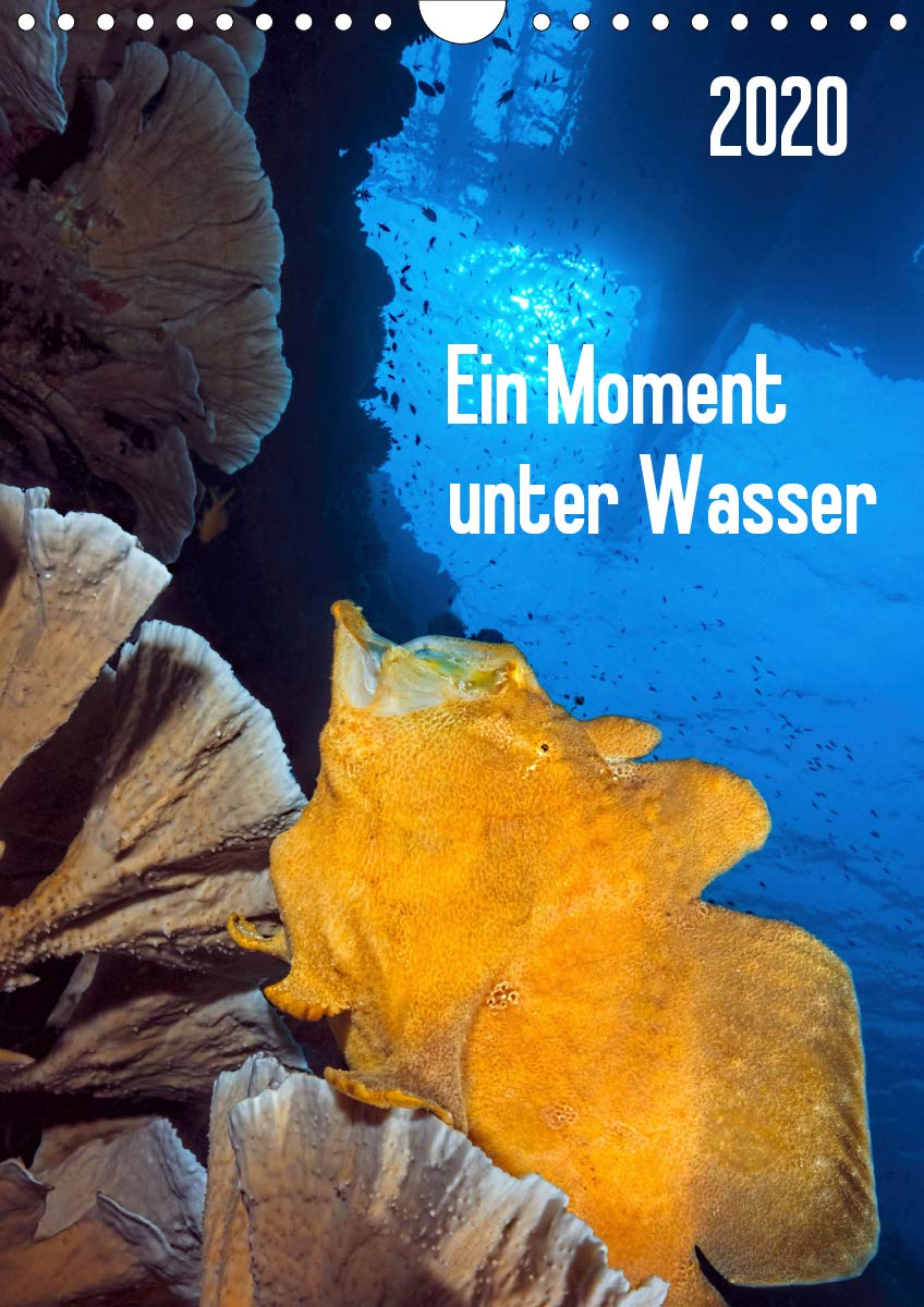 Ein Moment unter Wasser (Wandkalender 2020 DIN A4 hoch): Wunderschöne, skurrile Unterwasserlandschaften und eine spannende Tierwelt warten auf Sie! (Monatskalender, 14 Seiten ) (CALVENDO Natur) Leisure, Home & Garden