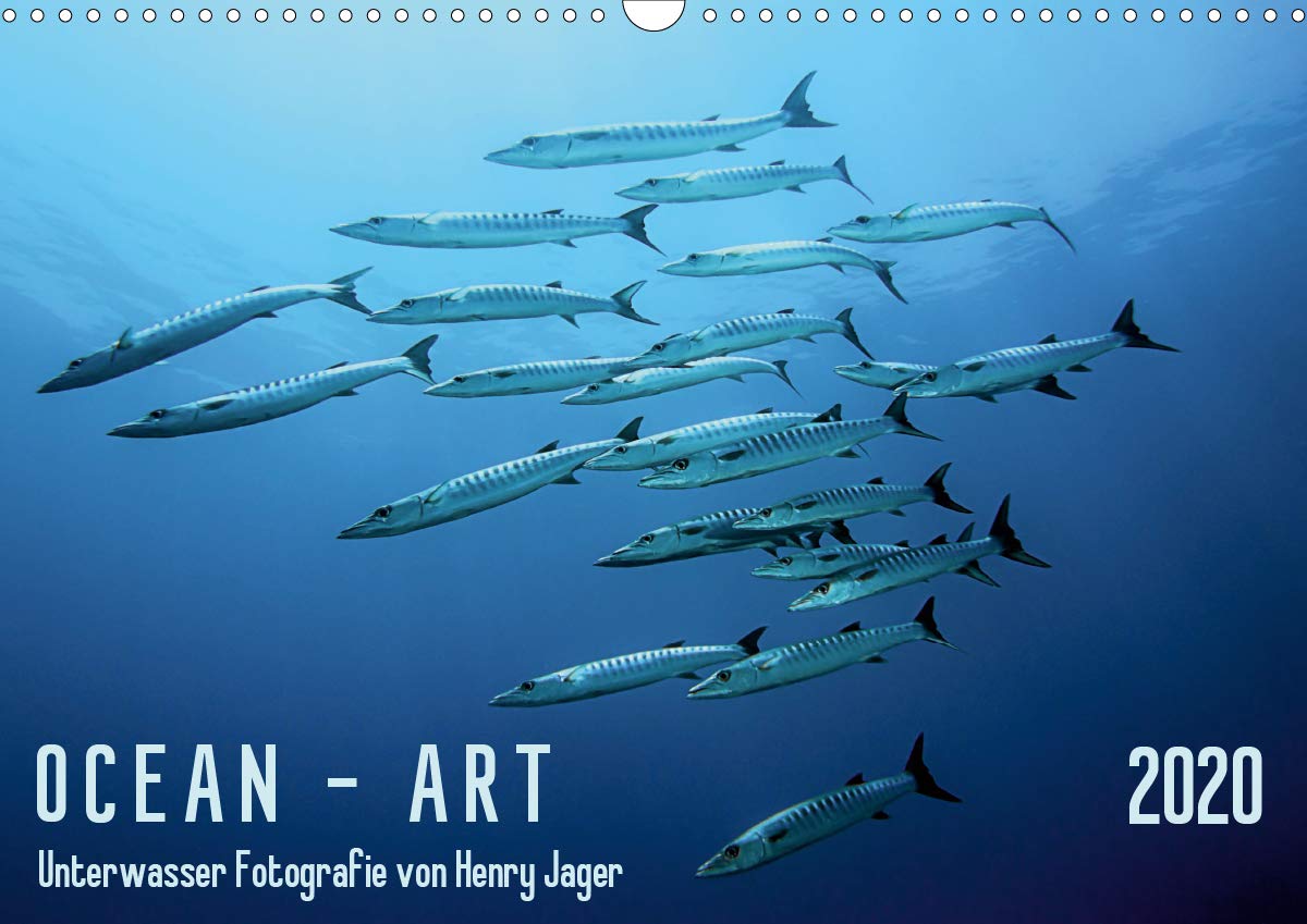 Ocean-Art / CH-Version (Wandkalender 2020 DIN A3 quer): Einzigartige Unterwasser Fotografien aus den Meeren dieser Welt (Monatskalender, 14 Seiten ) (CALVENDO Natur) Leisure, Home & Garden