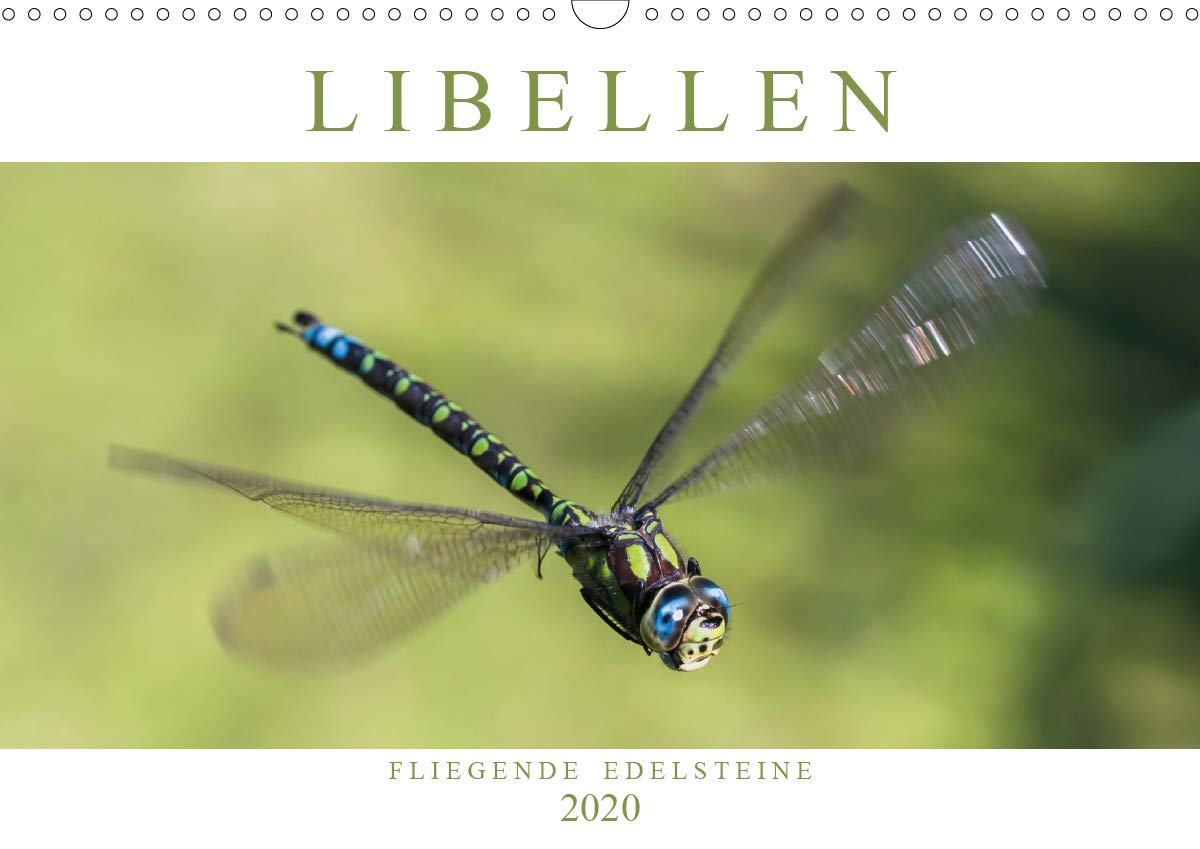 Libellen - Fliegende Edelsteine (Wandkalender 2020 DIN A3 quer): Faszinierende Nah- und Flugaufnahmen von heimischen Großlibellen-Arten (Monatskalender, 14 Seiten ) (CALVENDO Tiere) Living & Furnishing