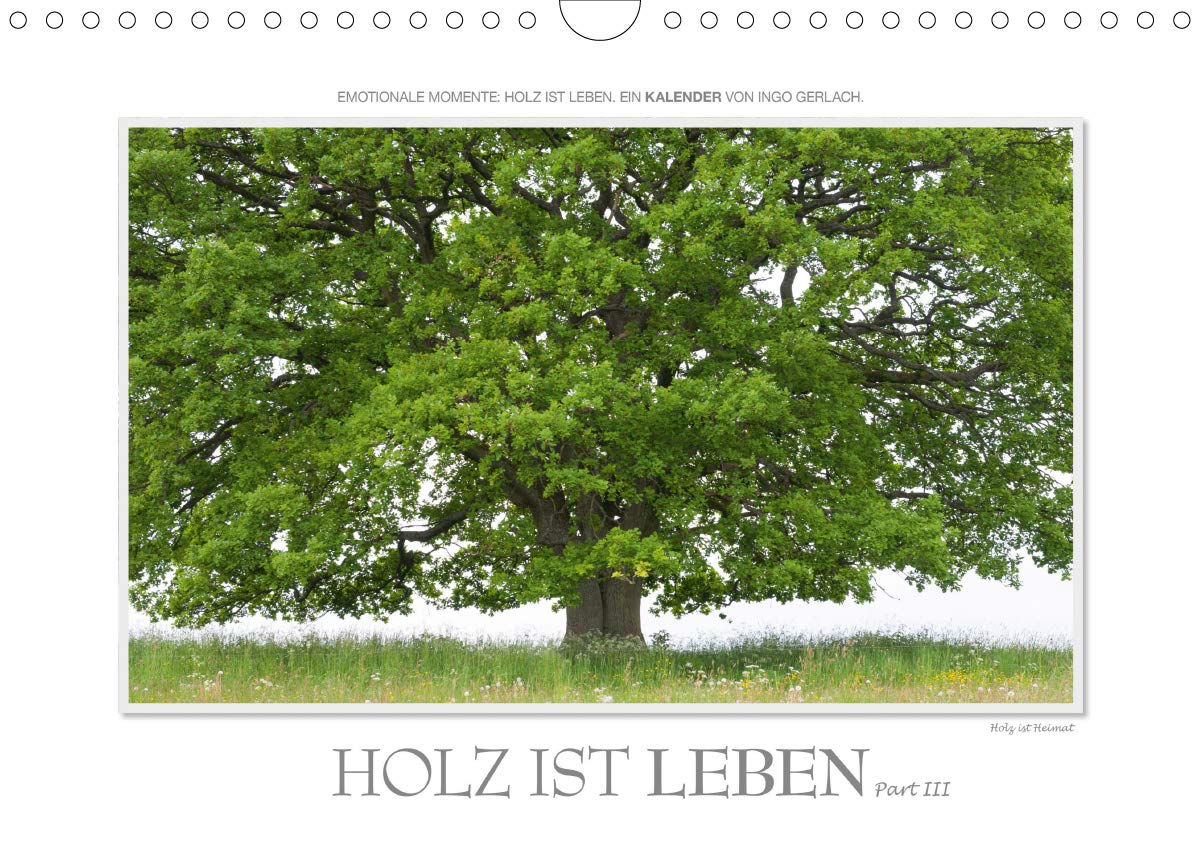 Emotionale Momente: Holz ist Leben. Part III. (Wandkalender 2020 DIN A4 quer): Ingo Gerlach hat wunderschöne Fotos zum Thema Holz, gespickt mit ... 14 Seiten ) (CALVENDO Technologie) Leisure, Home & Garden