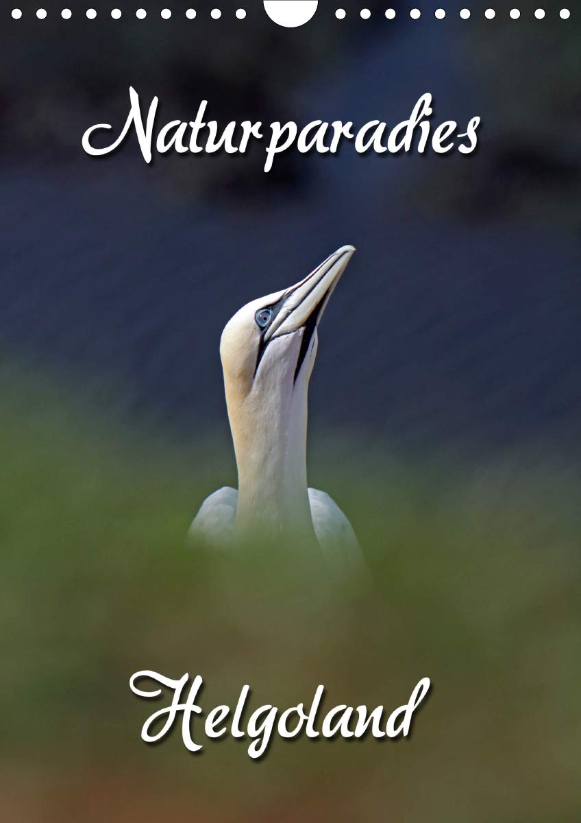 Naturparadies Helgoland (Wandkalender 2020 DIN A4 hoch): Helgoland ist inseliger (Monatskalender, 14 Seiten ) (CALVENDO Orte) Leisure, Home & Garden