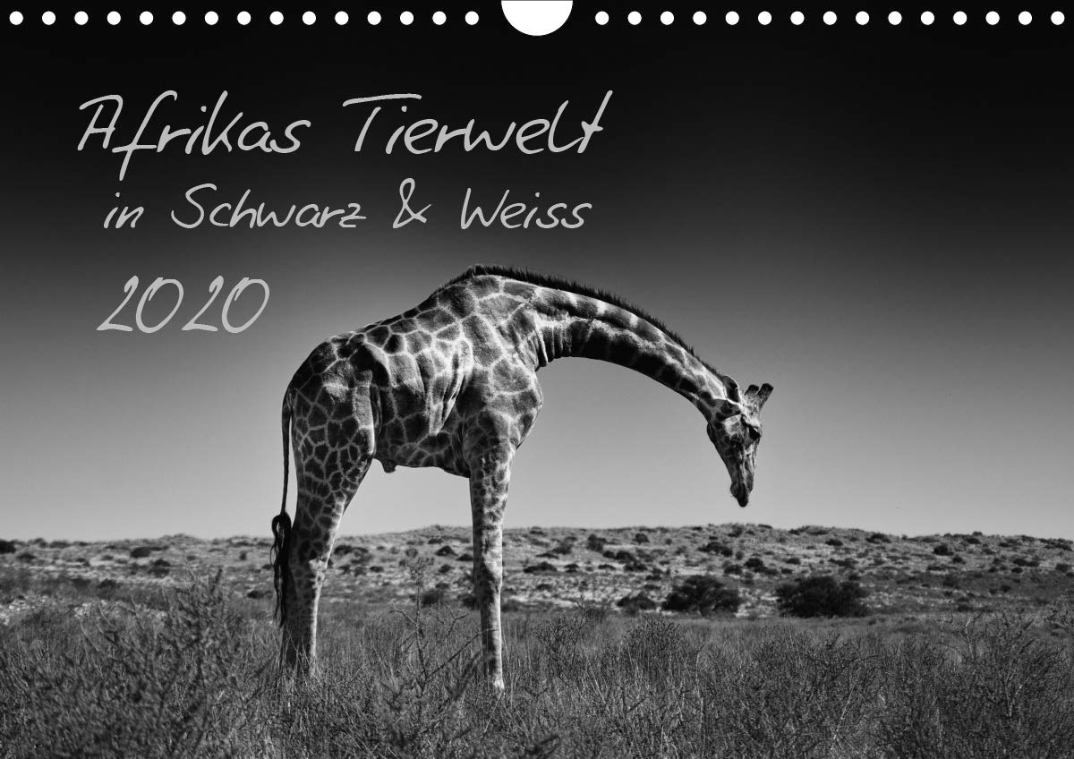 Afrikas Tierwelt in Schwarz & Weiss / CH-Version (Wandkalender 2020 DIN A4 quer): Säugetiere und Vögel aus Afrika in Schwarz und Weiss. (Monatskalender, 14 Seiten ) (CALVENDO Tiere) Photography