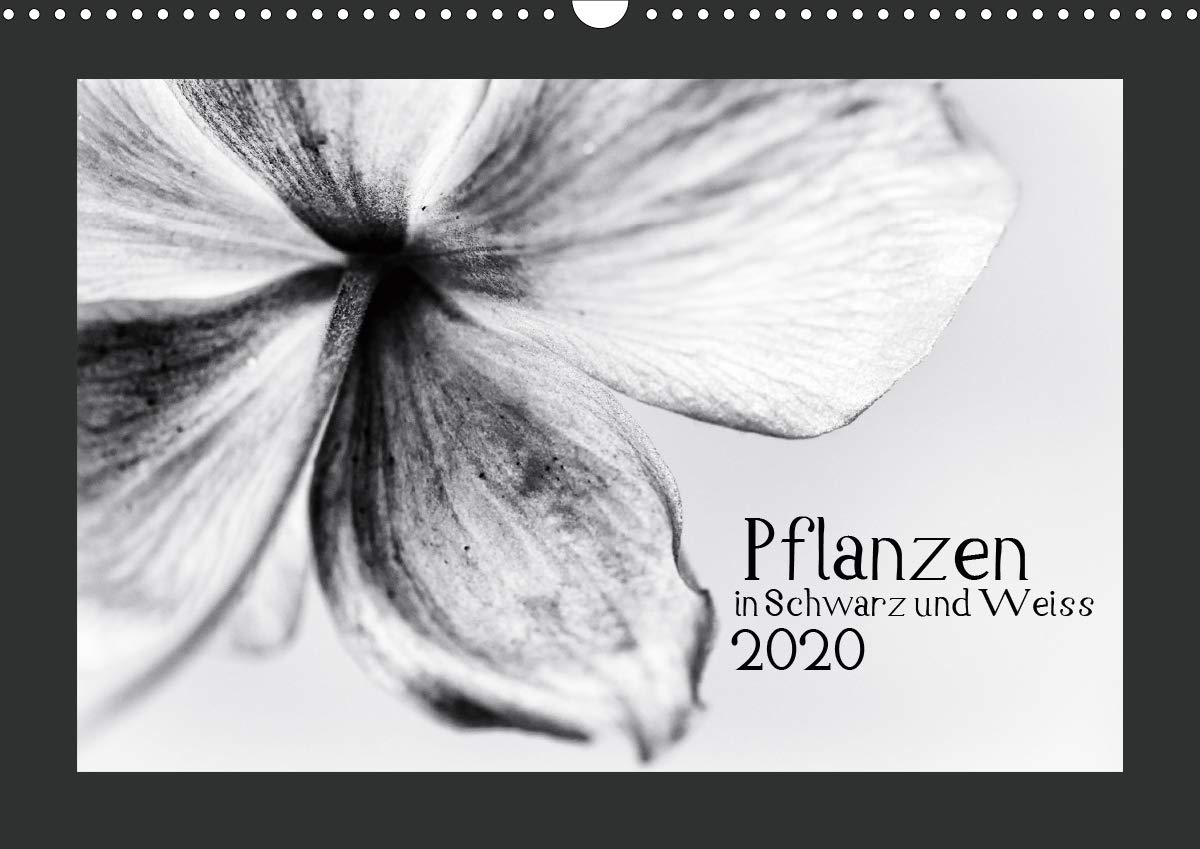 Pflanzen in Schwarz und Weiss / CH-Version (Wandkalender 2020 DIN A3 quer): Wald- und Wiesenpflanzen in Schwarz und Weiss (Monatskalender, 14 Seiten ) (CALVENDO Natur) Leisure, Home & Garden
