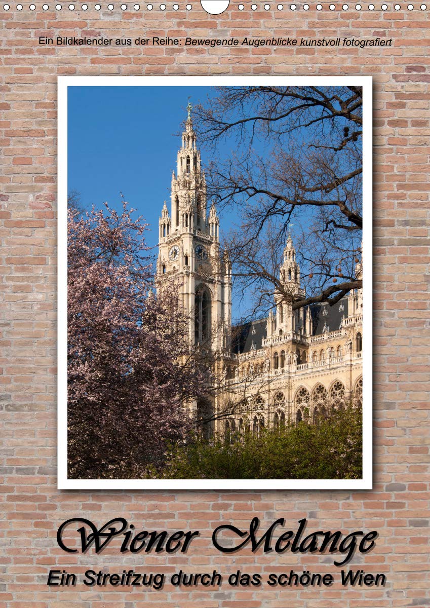 Wiener Melange - Ein Streifzug durch das schöne WienAT-Version (Wandkalender 2020 DIN A3 hoch): Ansichten von Wien - Bewegende Augenblicke kunstvoll ... (Monatskalender, 14 Seiten ) (CALVENDO Orte) Photography