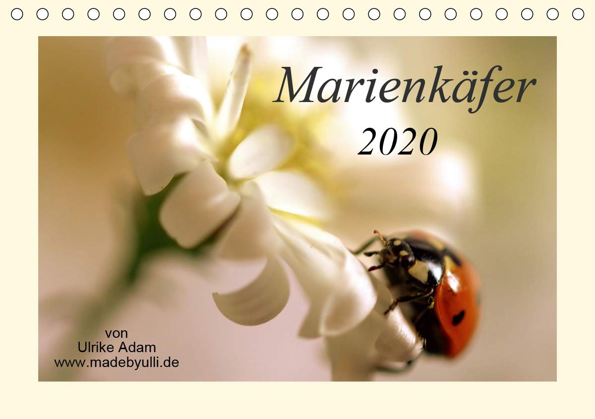 Marienkäfer / 2020 (Tischkalender 2020 DIN A5 quer): Der Kalender zeigt bunte Makroaufnahmen des Marienkäfers (Monatskalender, 14 Seiten ) (CALVENDO Tiere) Living & Furnishing