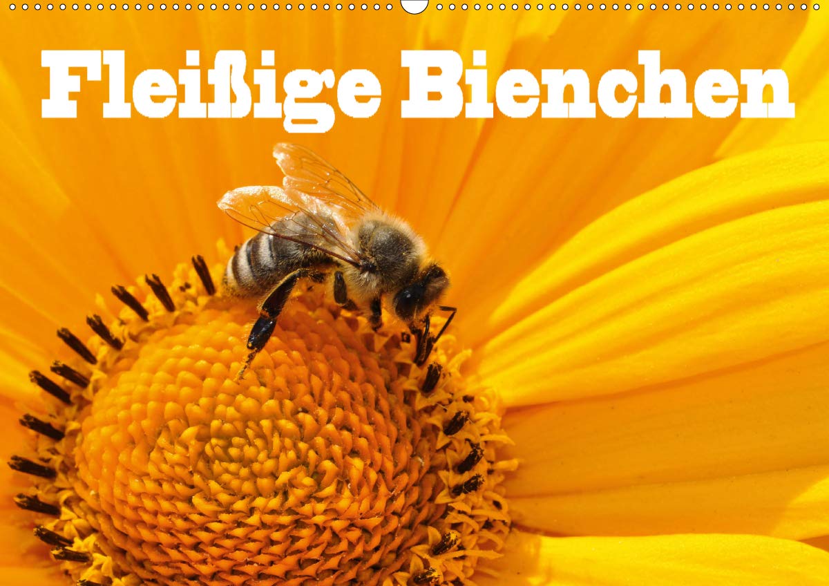 Fleißige Bienchen (Wandkalender 2020 DIN A2 quer): Fotos von Honigbienen bei Ihrer fleißigen Arbeit (Monatskalender, 14 Seiten ) (CALVENDO Tiere) Leisure, Home & Garden