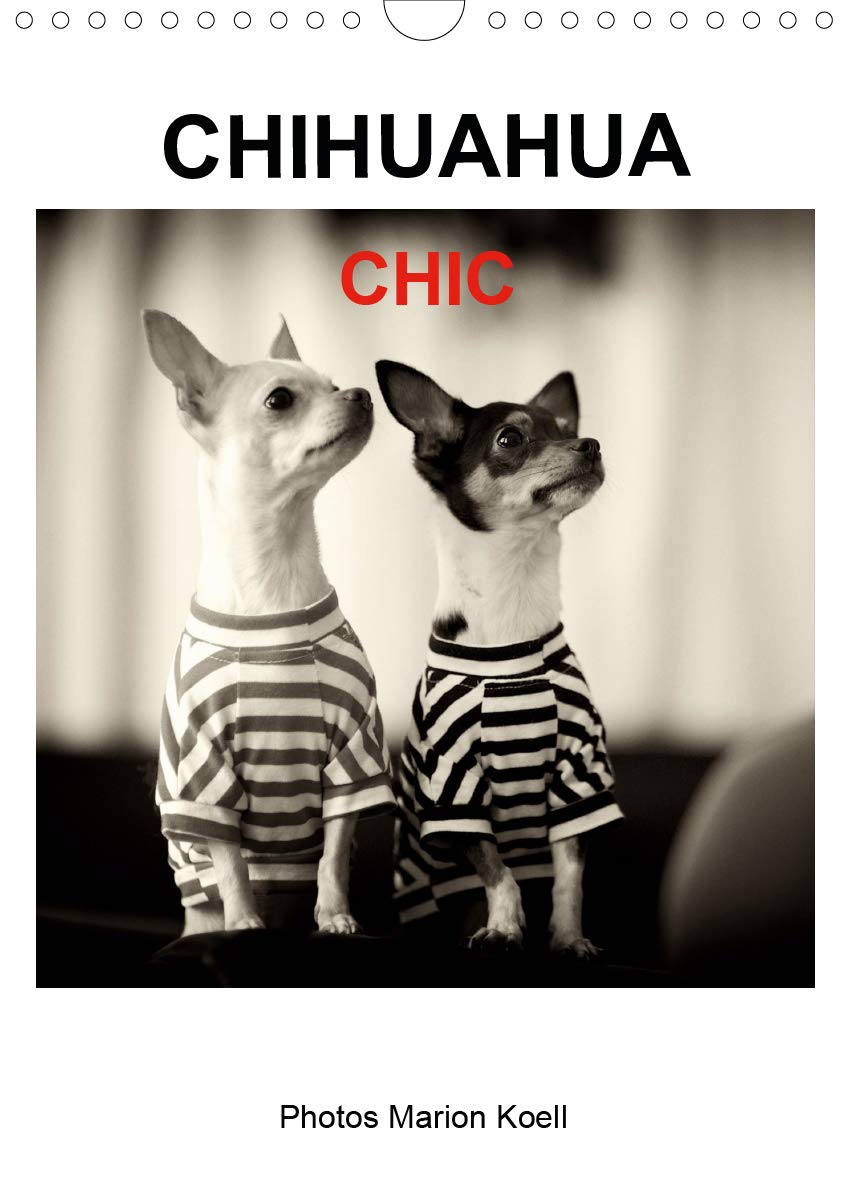 CHIHUAHUA CHIC Photos Marion Koell (Wandkalender 2020 DIN A4 hoch): Die CHIHUAHUA Geschwister Maya und Brownie werden gerne chic angezogen (Monatskalender, 14 Seiten ) (CALVENDO Tiere) Living & Furnishing