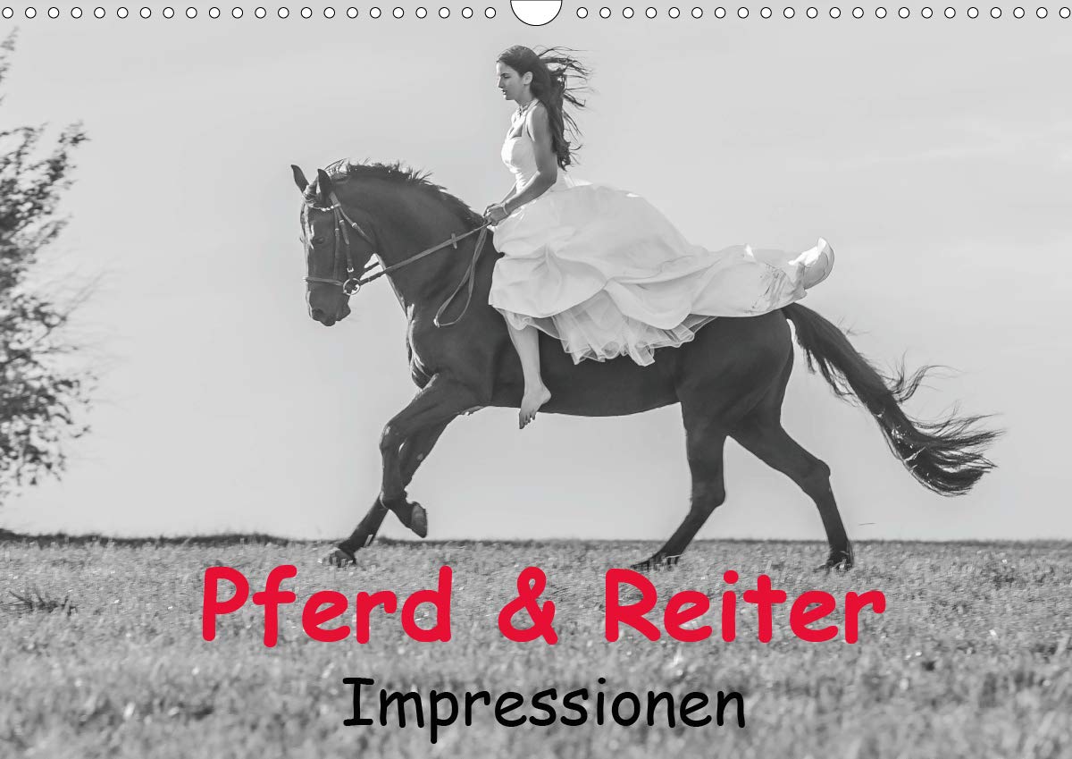 Pferd & Reiter - Impressionen (Wandkalender 2020 DIN A3 quer): Das Glück der Erde liegt auf dem Rücken der Pferde. (Monatskalender, 14 Seiten ) (CALVENDO Tiere) Business, Finance & Career