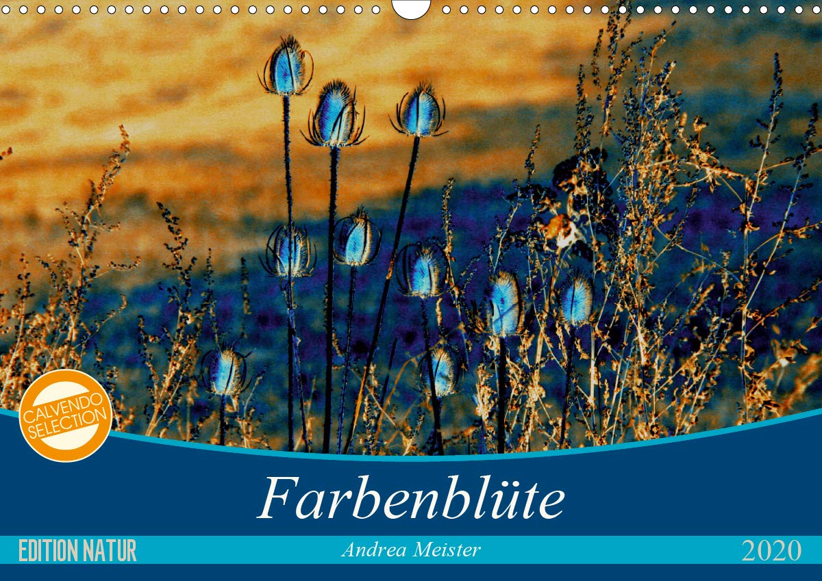 Farbenblüte (Wandkalender 2020 DIN A3 quer): Blumen und Blüten in neuen bestechenden Farben (Monatskalender, 14 Seiten ) (CALVENDO Natur) Leisure, Home & Garden