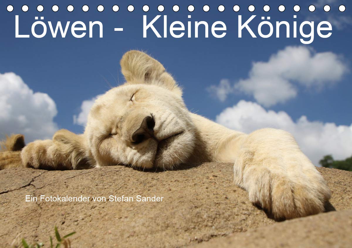 Löwen - Kleine Könige (Tischkalender 2020 DIN A5 quer): Junge Löwen, fotografiert in freier Wildbahn (Monatskalender, 14 Seiten ) (CALVENDO Tiere) Leisure, Home & Garden