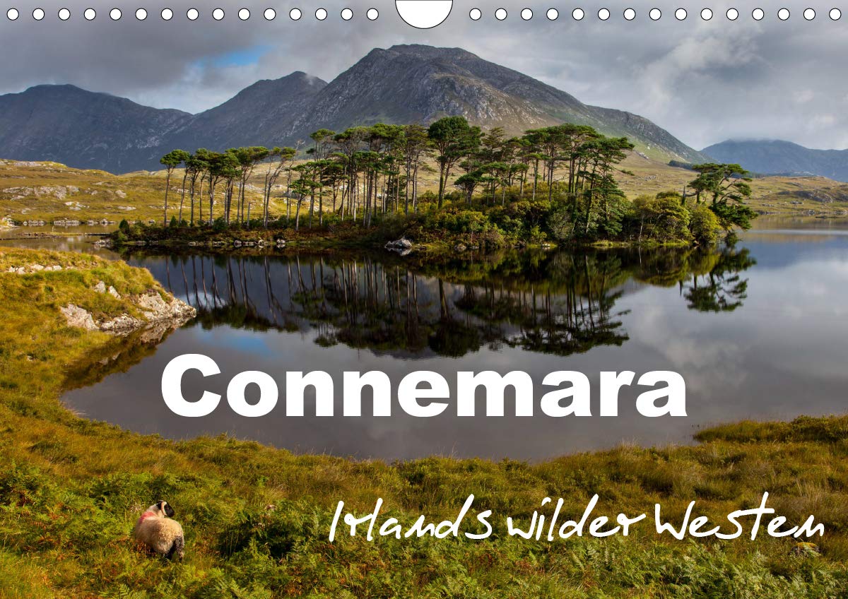 Connemara - Irlands wilder Westen (Wandkalender 2020 DIN A4 quer): Ursprünglich – Wild – Faszinierend (Monatskalender, 14 Seiten ) (CALVENDO Orte) Leisure, Home & Garden