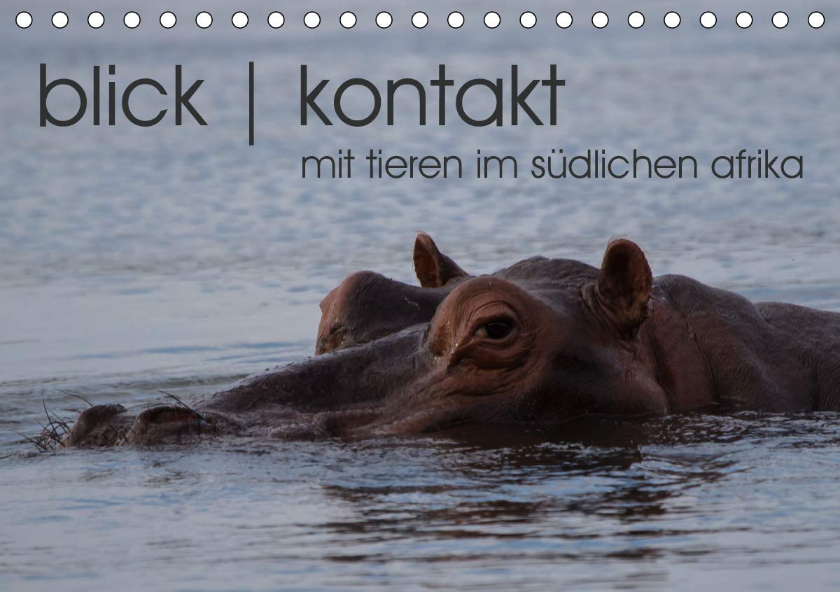 blick kontakt mit tieren im südlichen afrika (Tischkalender 2020 DIN A5 quer): tierbeobachtungen (Monatskalender, 14 Seiten ) (CALVENDO Tiere) Film, Art & Culture