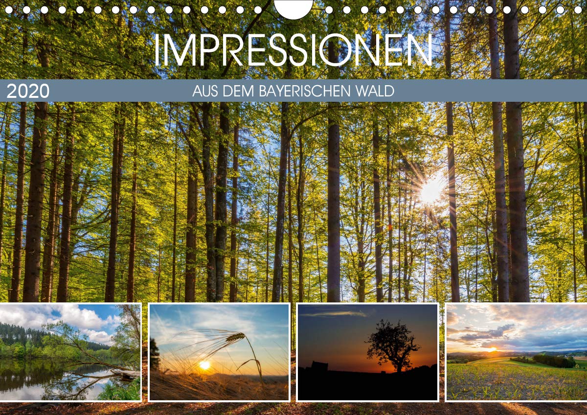 Impressionen aus dem Bayerischen Wald (Wandkalender 2020 DIN A4 quer): Faszinierende Bilder aus dem Bayerischen Wald. (Monatskalender, 14 Seiten ) (CALVENDO Natur) Film, Art & Culture