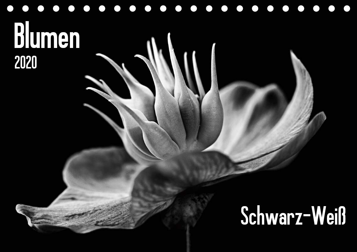 Blumen 2020, Schwarz-Weiß (Tischkalender 2020 DIN A5 quer): 12 fantastische Blumenaufnahmen in Schwarzweiß (Monatskalender, 14 Seiten ) (CALVENDO Natur) Living & Furnishing