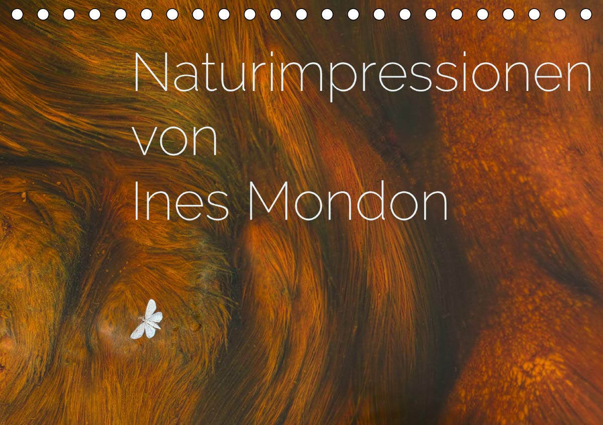 Naturimpressionen von Ines Mondon (Tischkalender 2020 DIN A5 quer): Naturimpressionen aus Europa festgehalten in bezaubernden Bildern von Ines Mondon. (Monatskalender, 14 Seiten ) (CALVENDO Natur) Photography