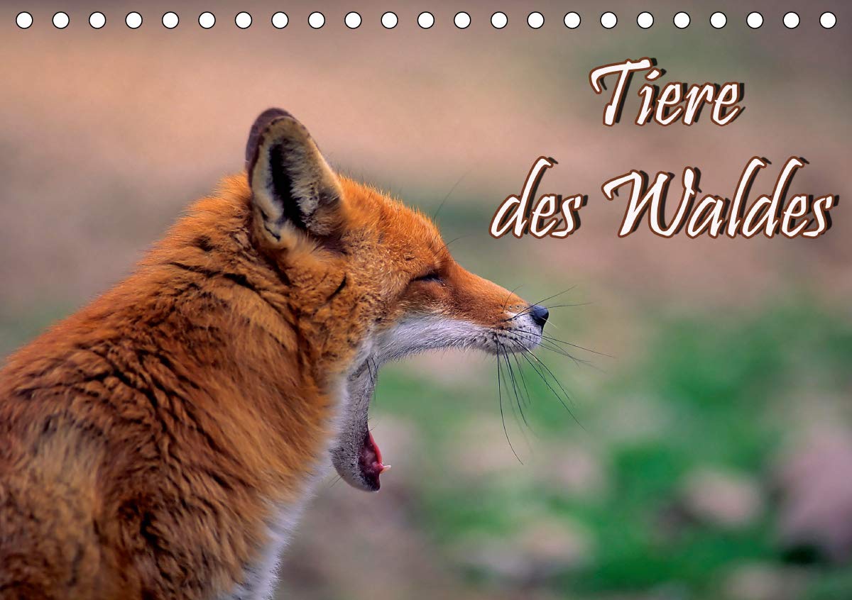 Tiere des Waldes (Tischkalender 2020 DIN A5 quer): Naturkalender mit 13 Tiermotiven (Geburtstagskalender, 14 Seiten ) (CALVENDO Tiere) Pets