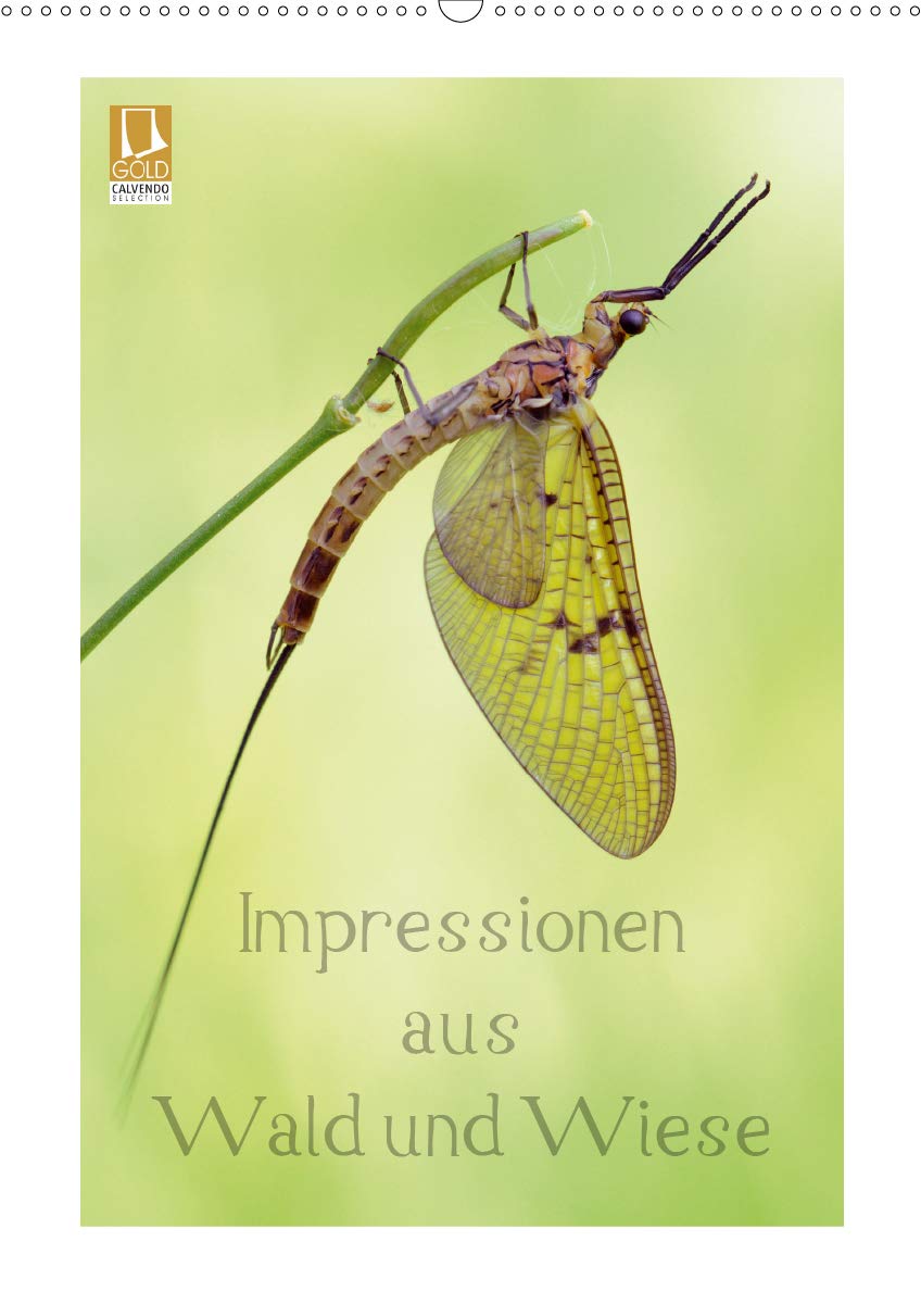 Impressionen aus Wald und Wiese (Wandkalender 2020 DIN A2 hoch): Makrofotografien aus einzigartigen Perspektiven (Monatskalender, 14 Seiten ) (CALVENDO Natur) Lifestyle