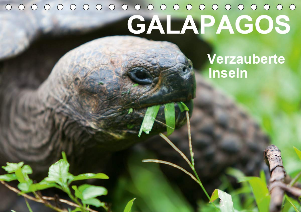 Galapagos. Verzauberte Inseln (Tischkalender 2020 DIN A5 quer): Die Galapagos Inseln - Tierparadies im pazifischen Ozean. (Monatskalender, 14 Seiten ) (CALVENDO Orte) Leisure, Home & Garden