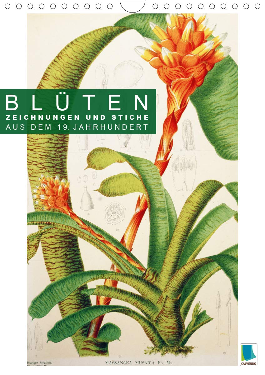 Blüten: Zeichnungen und Stiche aus dem 19. Jahrhundert (Wandkalender 2020 DIN A4 hoch): Farblithografien und Kupferstiche zarter Pflanzenstudien (Monatskalender, 14 Seiten ) (CALVENDO Kunst) Leisure, Home & Garden