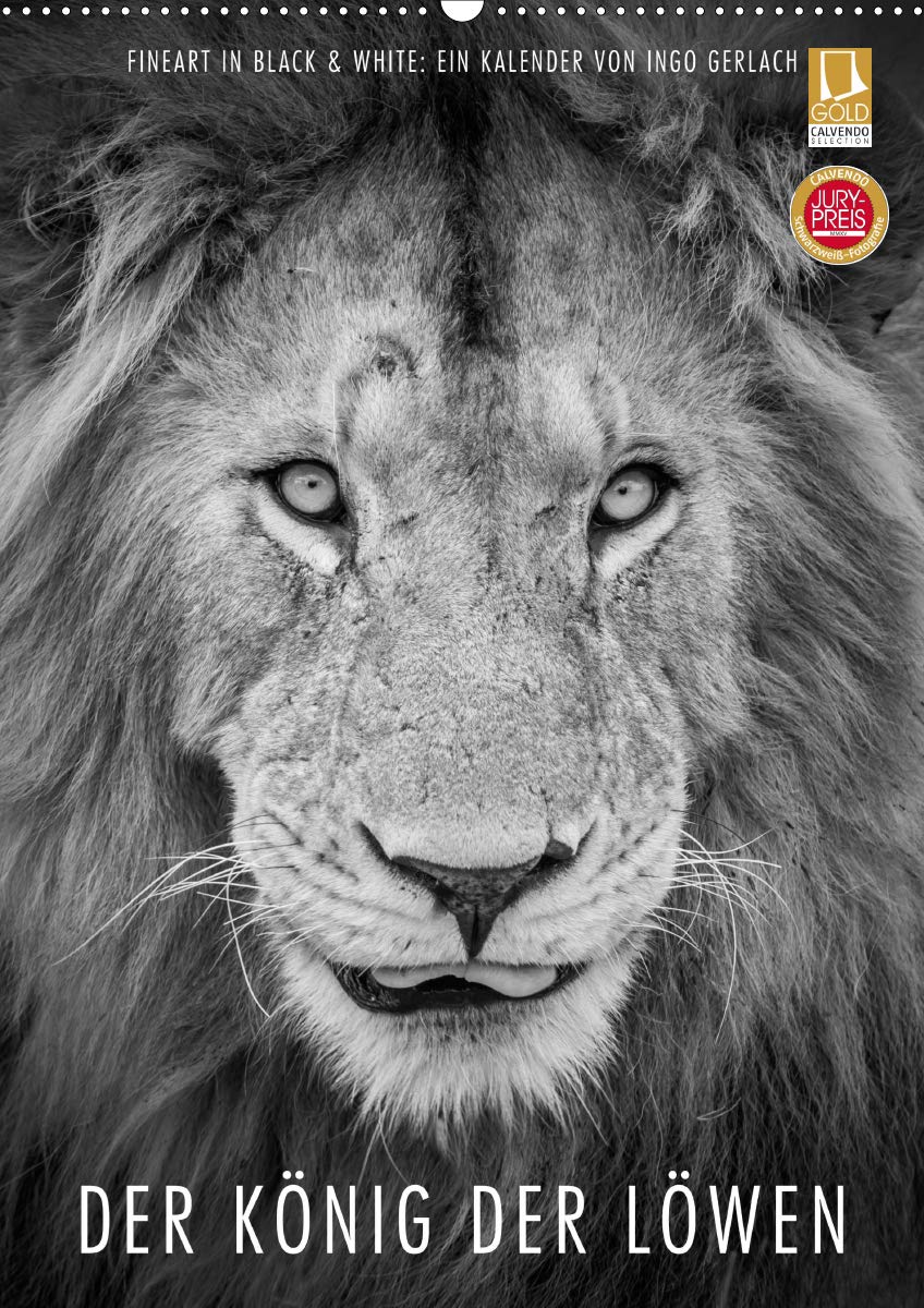 FineArt in Black and White: Der König der Löwen (Wandkalender 2020 DIN A2 hoch): Für diesen wunderschönen Kalender hat Ingo Gerlach besten Löwenbilder ... (Monatskalender, 14 Seiten ) (CALVENDO Tiere) Photography