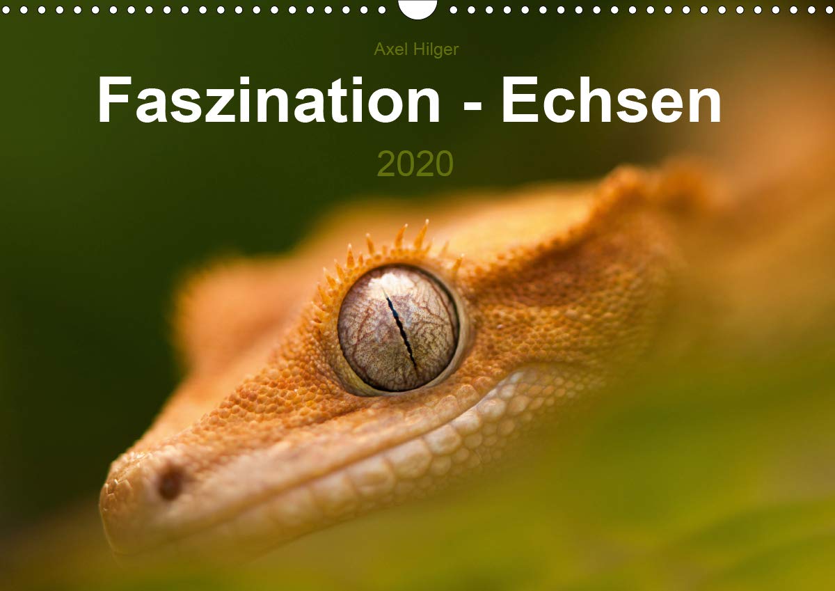 Faszination - Echsen (Wandkalender 2020 DIN A3 quer): Wir staunen, wenn wir diese fremdartigen Wesen betrachten, die so wirken, als kämen sie aus ... (Monatskalender, 14 Seiten ) (CALVENDO Tiere) Leisure, Home & Garden
