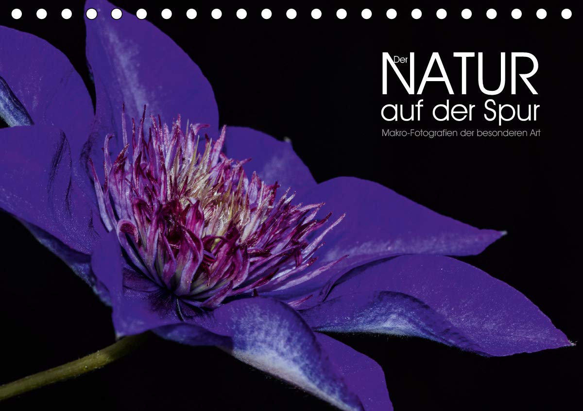 Der Natur auf der Spur - Makro-Fotografien der besonderen Art (Tischkalender 2020 DIN A5 quer): Blüten und Pflanzen Makro-Fotografien der besonderen Art (Monatskalender, 14 Seiten ) (CALVENDO Natur) Leisure, Home & Garden