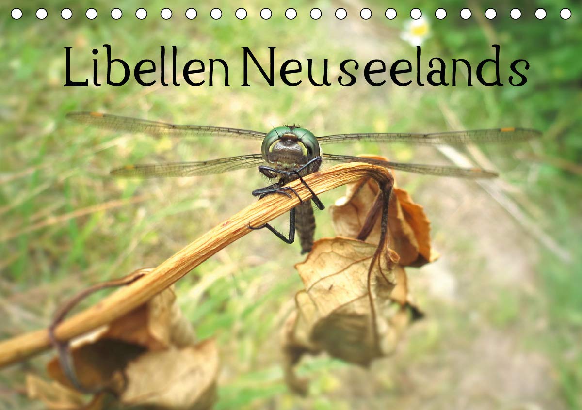 Libellen Neuseelands (Tischkalender 2020 DIN A5 quer): Eine Auswahl der schönsten Fotos fliegender Juwele Neuseelands (Monatskalender, 14 Seiten ) (CALVENDO Tiere) Photography