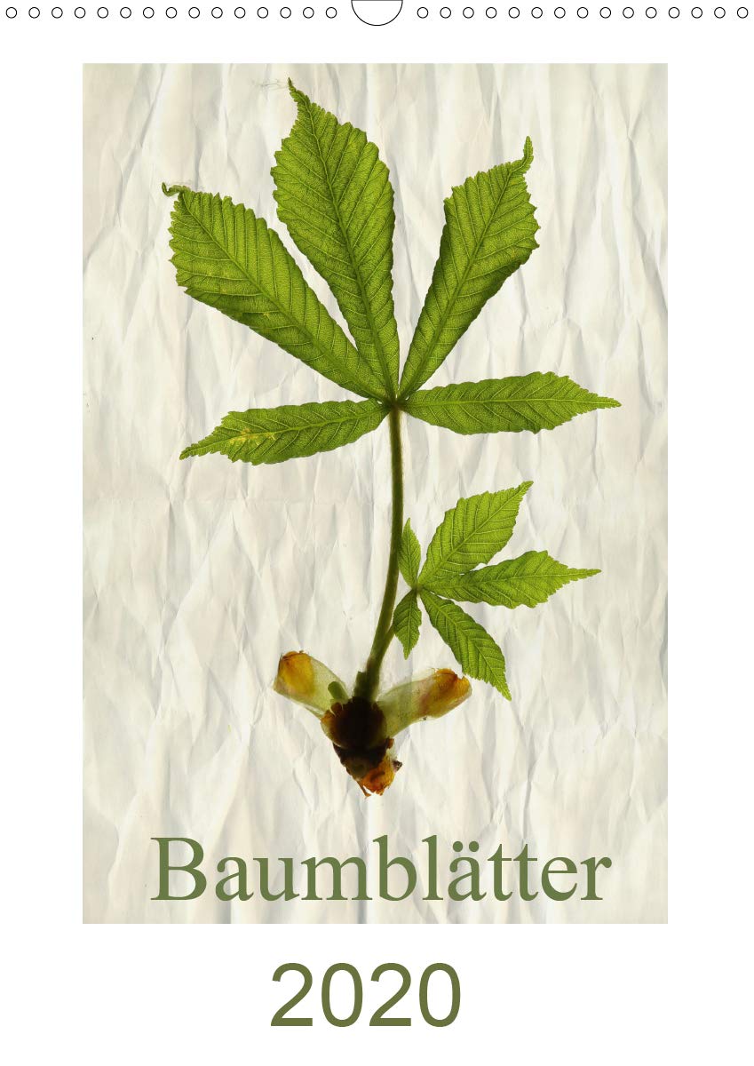 Baumblätter 2020 (Wandkalender 2020 DIN A3 hoch): Blätter, so verschieden sie auch sein mögen, ist doch jedes einzelne einzigartig (Monatskalender, 14 Seiten ) (CALVENDO Natur) Leisure, Home & Garden