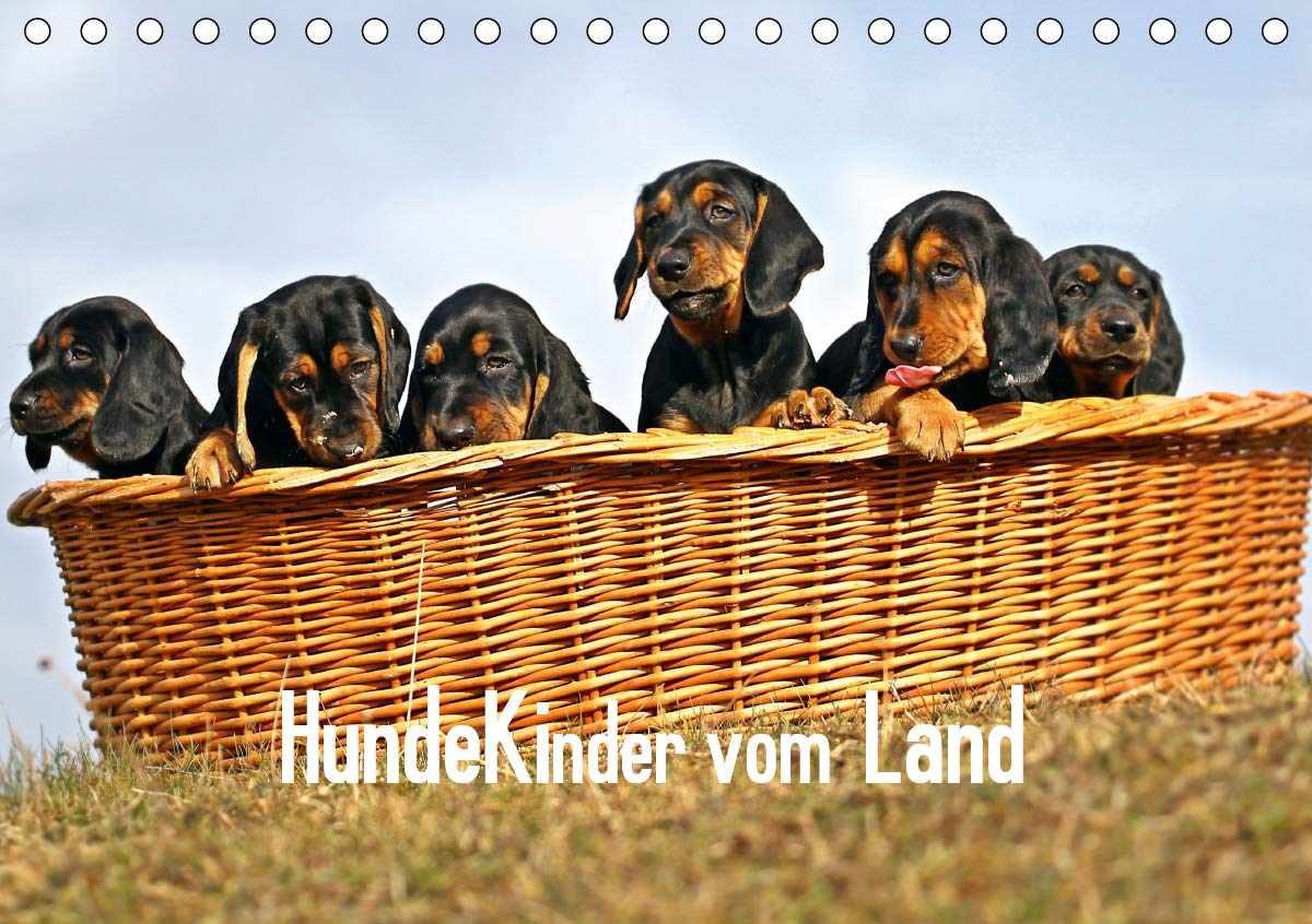 Hundekinder vom Land (Tischkalender 2020 DIN A5 quer): Hundekinder sind Herzen auf vier Pfoten und schenken Lebensfreude jeden Tag. (Monatskalender, 14 Seiten ) (CALVENDO Tiere) Leisure, Home & Garden