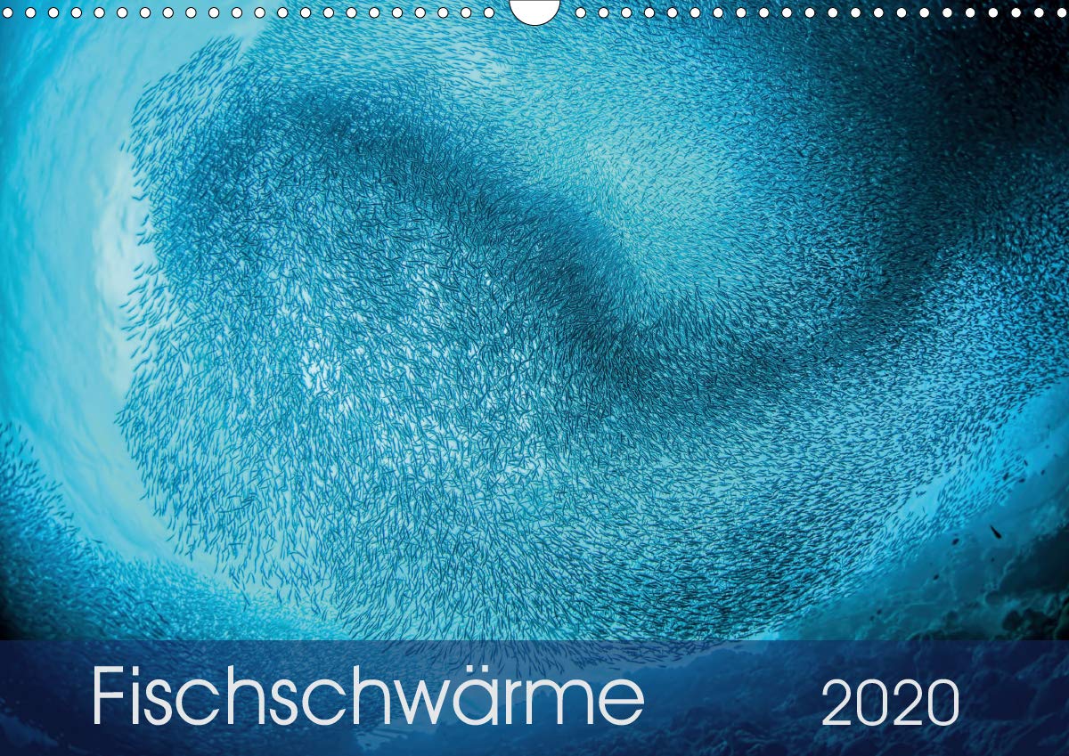 Fischschwärme (Wandkalender 2020 DIN A3 quer): Gewaltige Fischschwärme aus dem Pazifischen Ozean bieten ein fantastisches Naturschauspiel (Monatskalender, 14 Seiten ) (CALVENDO Natur) Leisure, Home & Garden
