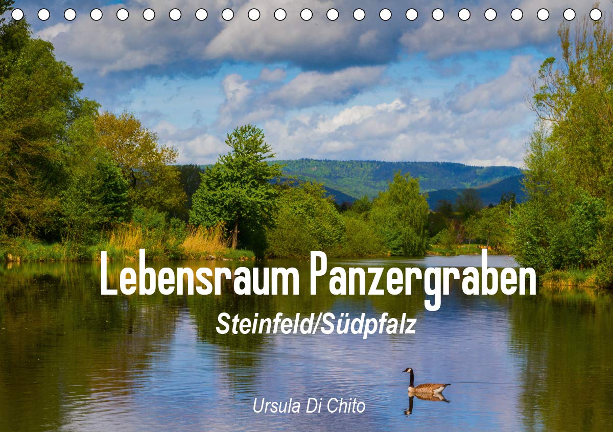 Lebensraum Panzergraben (Tischkalender 2020 DIN A5 quer): Lebensraum Panzergraben in Steinfeld an der südlichen Weinstraße (Monatskalender, 14 Seiten ) (CALVENDO Natur) Leisure, Home & Garden