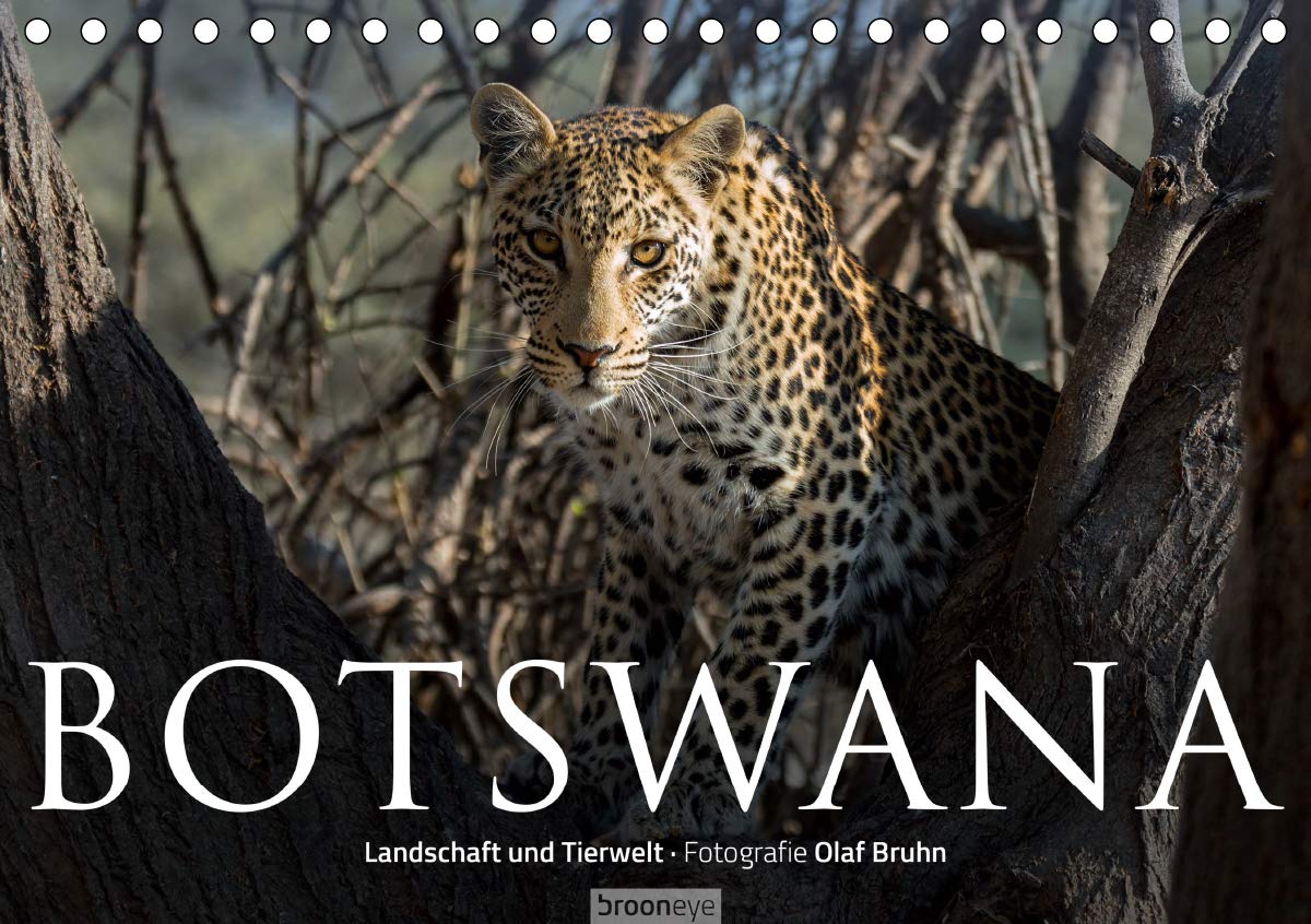 Botswana – Landschaft und Tierwelt (Tischkalender 2020 DIN A5 quer): 13 stimmungsvolle Tier- und Landschaftsaufnahmen aus Botswana von dem Fotografen ... (Monatskalender, 14 Seiten ) (CALVENDO Natur) Leisure, Home & Garden