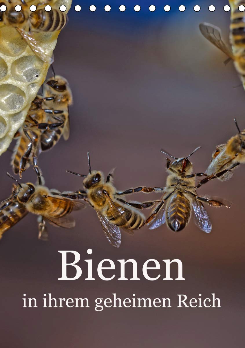 Bienen in ihrem geheimen Reich (Tischkalender 2020 DIN A5 hoch): Die Geheimnisse des Bienenstocks (Monatskalender, 14 Seiten ) (CALVENDO Tiere) Film, Art & Culture