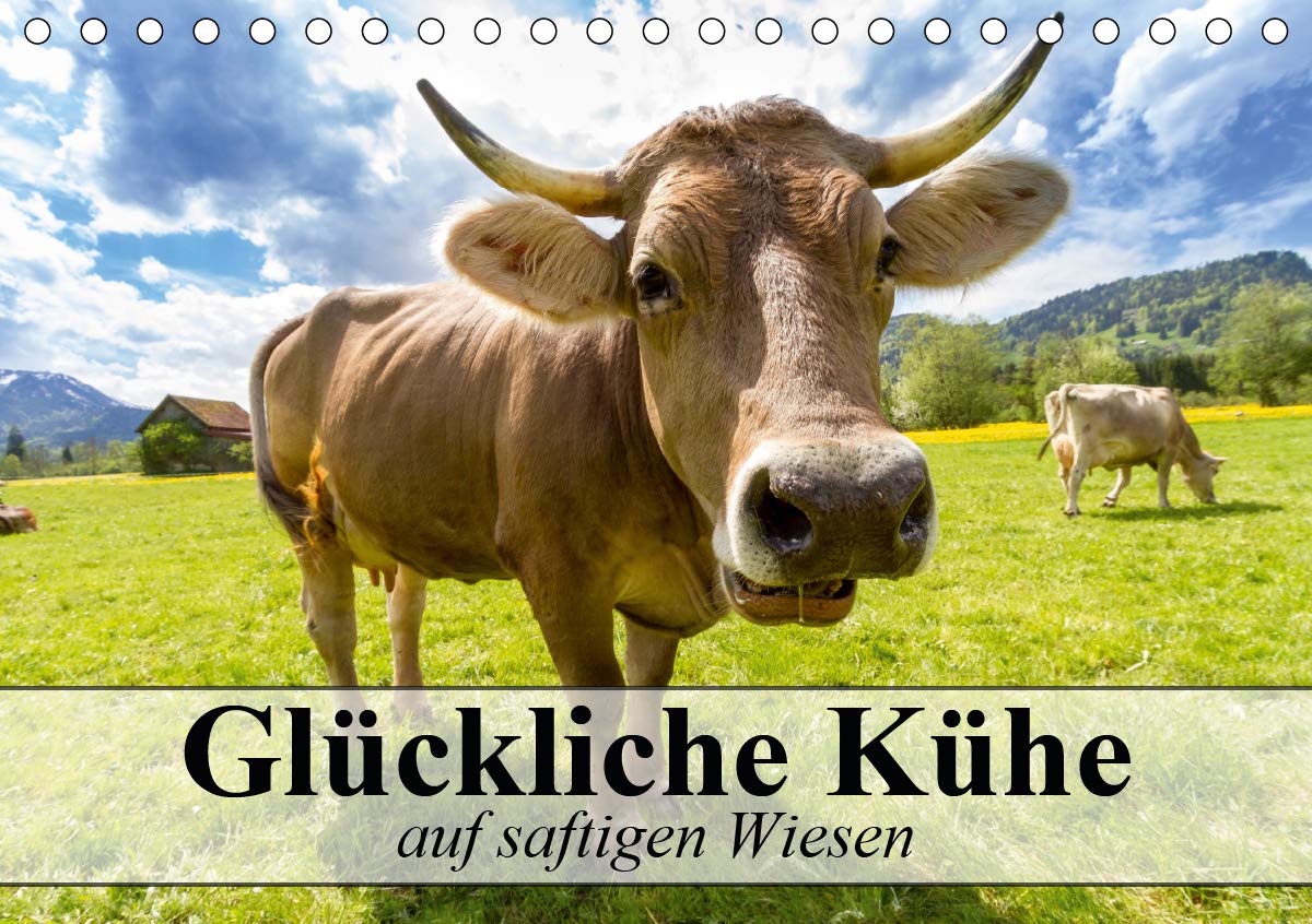 Glückliche Kühe auf saftigen Wiesen (Tischkalender 2020 DIN A5 quer): Kühe, die das Leben genießen dürfen (Monatskalender, 14 Seiten ) (CALVENDO Tiere) Living & Furnishing