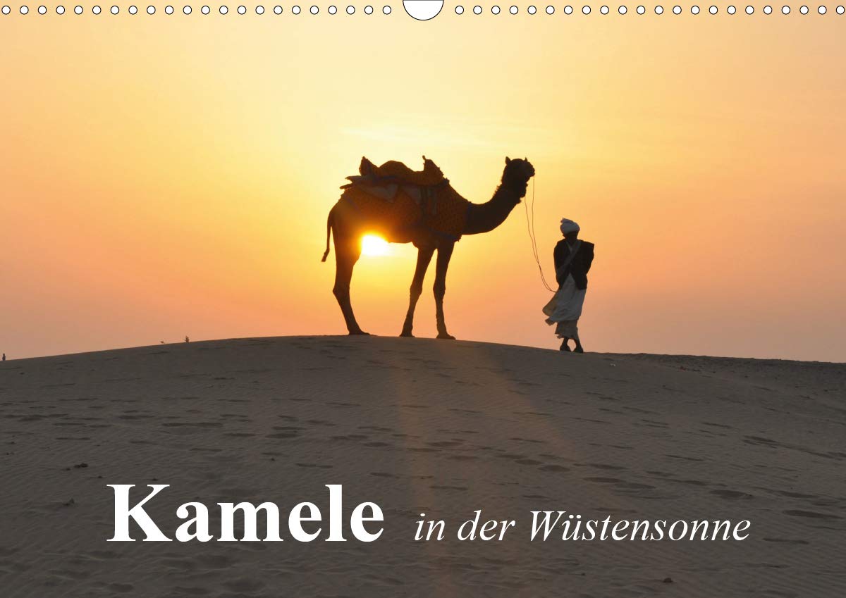 Kamele in der Wüstensonne (Wandkalender 2020 DIN A3 quer): Faszinierende Wüstentiere mit besonderen Fähigkeiten (Monatskalender, 14 Seiten ) (CALVENDO Tiere) Living & Furnishing