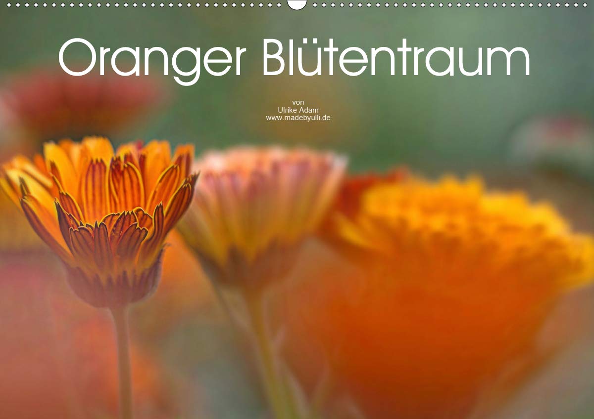Oranger Blütentraum (Wandkalender 2020 DIN A2 quer): Zarte orange Blütenfotos verzaubern uns das ganze Jahr (Monatskalender, 14 Seiten ) (CALVENDO Natur) Leisure, Home & Garden