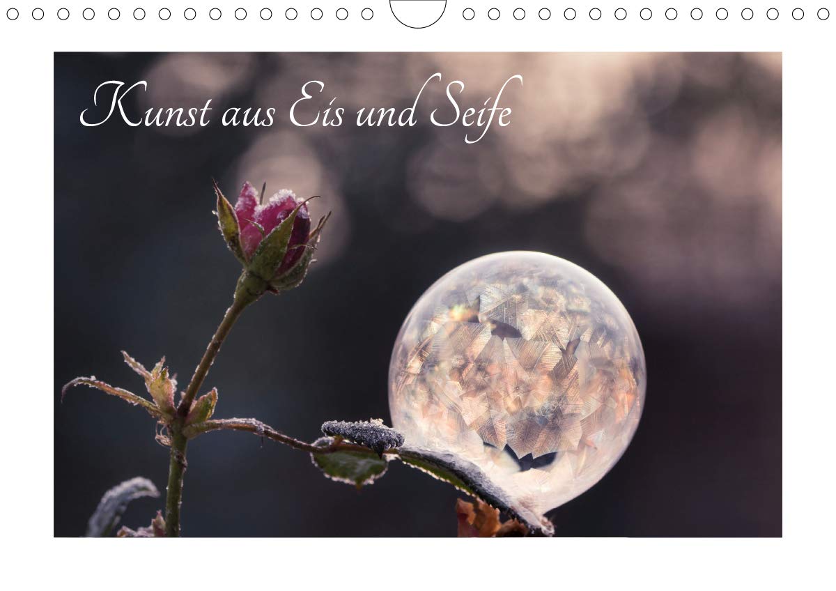 Kunst aus Eis und Seife (Wandkalender 2020 DIN A4 quer): Fotografische Kunst aus Seife und Eis (Monatskalender, 14 Seiten ) (CALVENDO Kunst) Photography