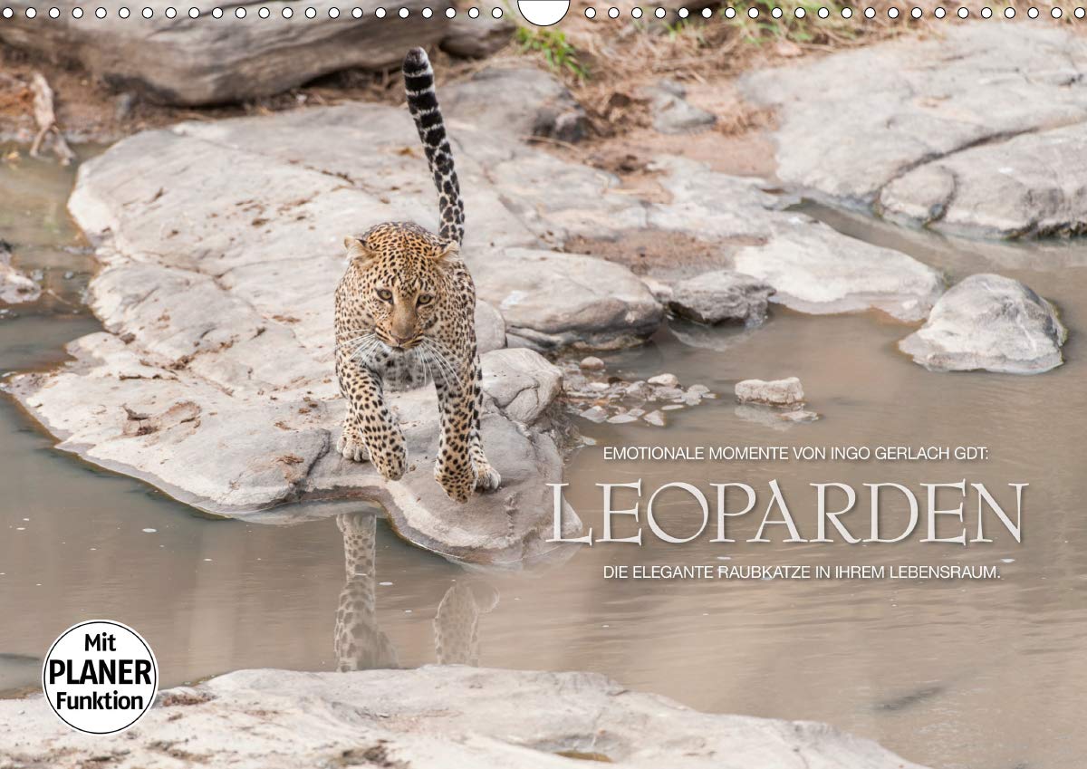Emotionale Momente: Leoparden (Wandkalender 2020 DIN A3 quer): Leoparden - elegante Raubkatzen in ihrem Lebensraum. (Geburtstagskalender, 14 Seiten ) (CALVENDO Tiere) Photography
