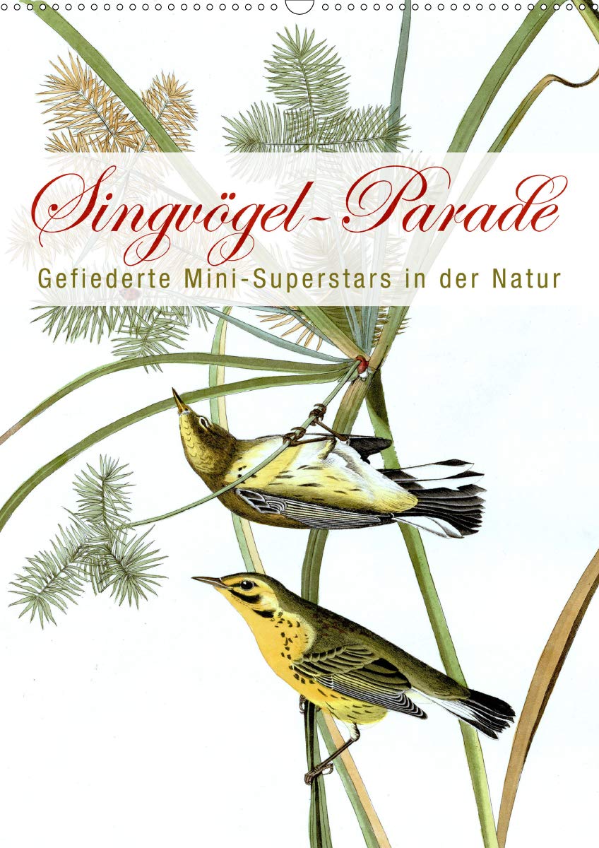 Singvögel-Parade (Wandkalender 2020 DIN A2 hoch): Gefiederte Mini-Superstars in der Natur (Monatskalender, 14 Seiten ) (CALVENDO Tiere) Leisure, Home & Garden