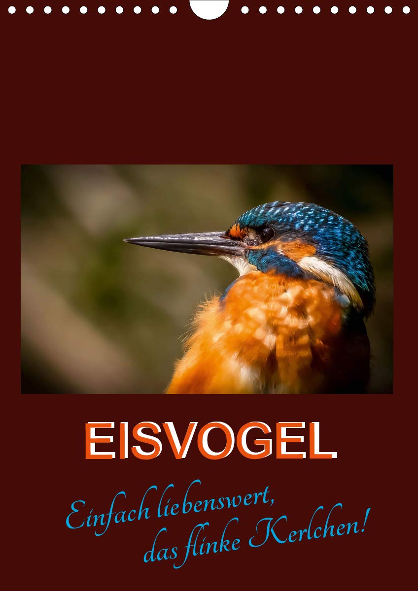 Eisvogel - einfach liebenswert, das flinke Kerlchen (Wandkalender 2020 DIN A4 hoch): Unsere heimischen Eisvögel sind wahre Schönheiten (Planer, 14 Seiten ) (CALVENDO Tiere) Film, Art & Culture