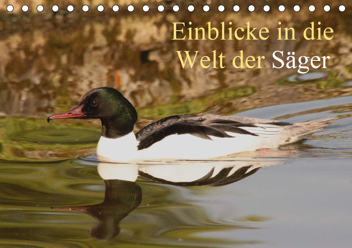 Einblicke in die Welt der Säger (Tischkalender 2020 DIN A5 quer): Säger in Ihrem natürlichen Lebesraum (Monatskalender, 14 Seiten ) (CALVENDO Tiere) Film, Art & Culture