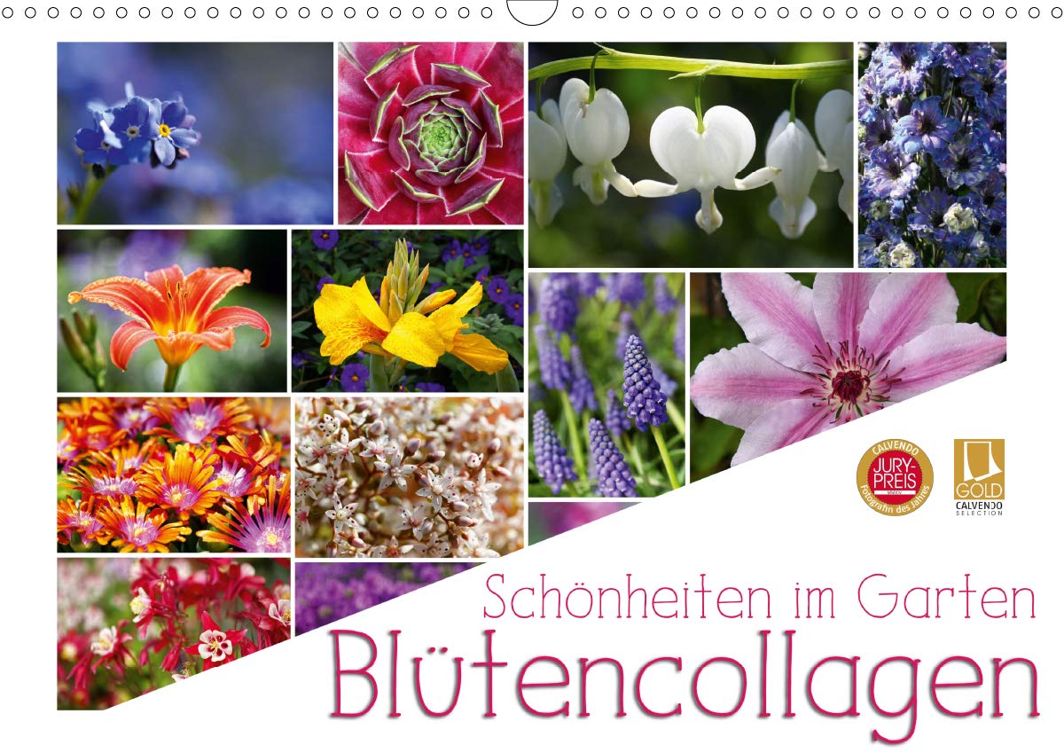 Schönheiten im Garten - Blütencollagen (Wandkalender 2020 DIN A3 quer): 12 zauberhafte Blütencollagen die Sie das ganze Jahr über begleiten. (Monatskalender, 14 Seiten ) (CALVENDO Natur) Leisure, Home & Garden