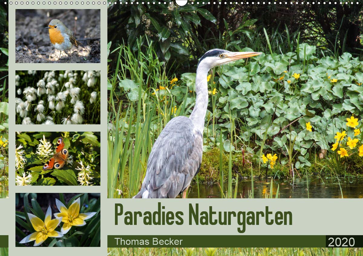 Paradies Naturgarten (Wandkalender 2020 DIN A2 quer): Der Naturgarten - paradiesisch schön (Monatskalender, 14 Seiten ) (CALVENDO Natur) Leisure, Home & Garden