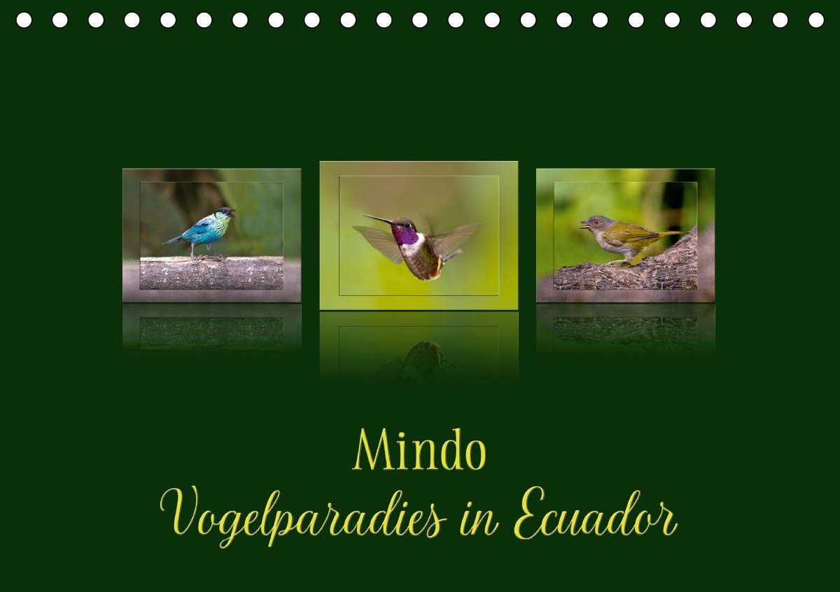 Mindo, Vogelparadies in Ecuador (Tischkalender 2020 DIN A5 quer): Die Vielfalt der Vögel in Ecuador.. (Monatskalender, 14 Seiten ) (CALVENDO Tiere) Photography