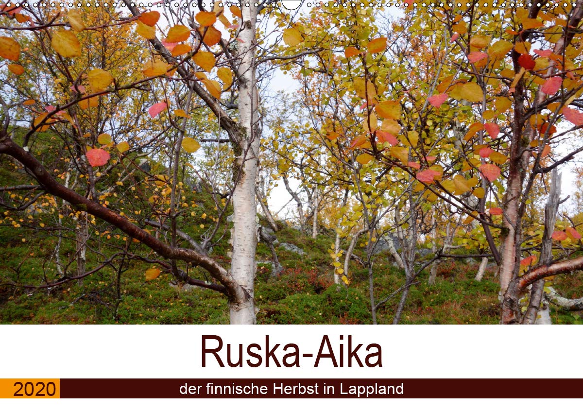 Ruska-Aika - der finnische Herbst in Lappland (Wandkalender 2020 DIN A2 quer): Sehnsuchtskalender (Monatskalender, 14 Seiten ) (CALVENDO Orte) Leisure, Home & Garden