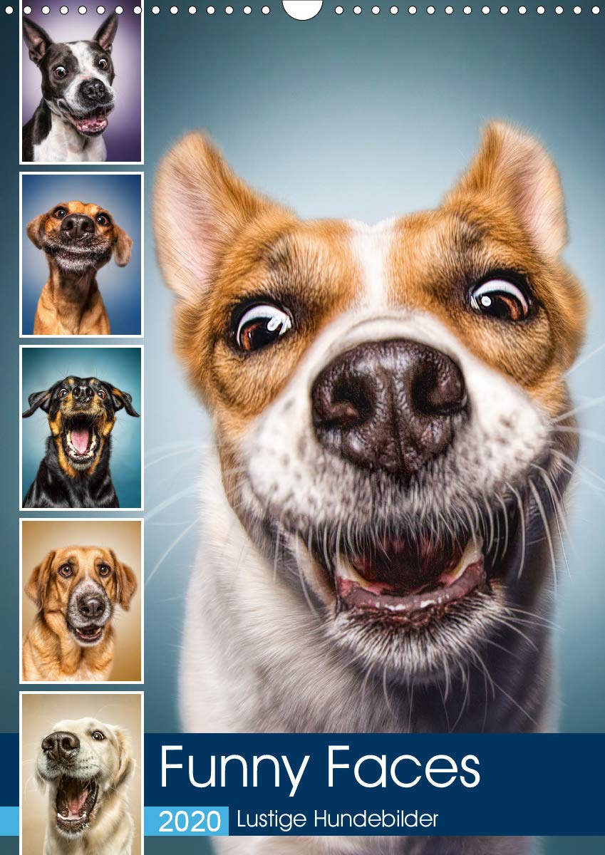 Funny Faces - Lustige Hundebilder (Wandkalender 2020 DIN A3 hoch): Herrliche Hunde-Gesichter mit einer Prise Humor. (Monatskalender, 14 Seiten ) (CALVENDO Tiere) Living & Furnishing